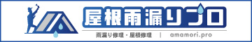 屋根雨漏りプロ