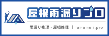 屋根雨漏りプロ